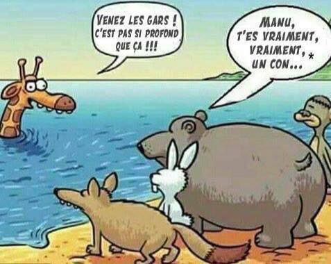 
               Meilleures images marrantes  baignade 
              