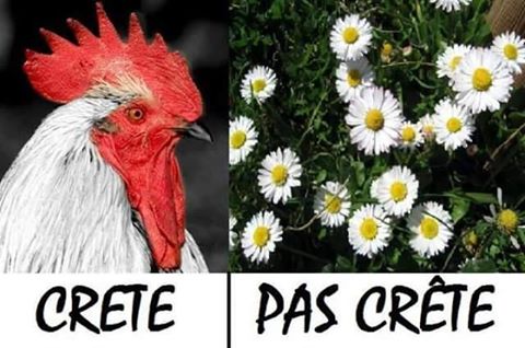
               Meilleures image drole  Elle est vraiment à raz les pas crête celle ci. 
              