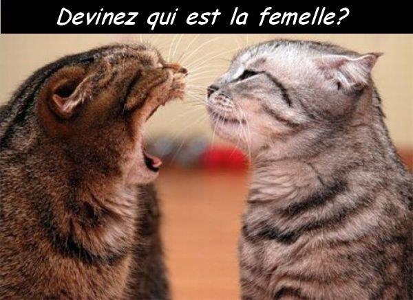 
               Meilleures image drole  ca se voit non! 
              