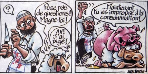 
               Meilleures images droles  tout est bon dans le cochon 
              