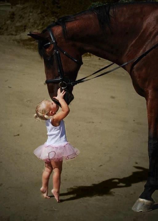  Image marrante  Elle n'est plus sur l'étalon... 
              