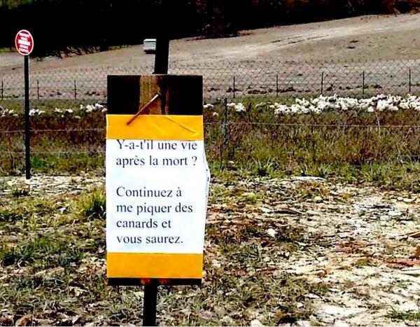 
               Meilleures images drôles  N'y mets pâté d'oie 
              
