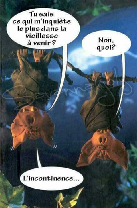 
               Meilleures images blagues  CONNU MAIS TOUJOURS AUSSI MARRANT 
              