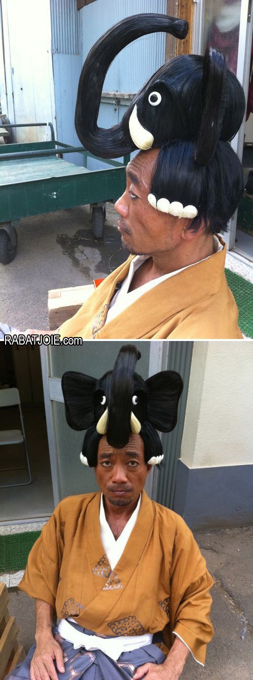 
               Meilleure photo blague  coupe insolite 
              