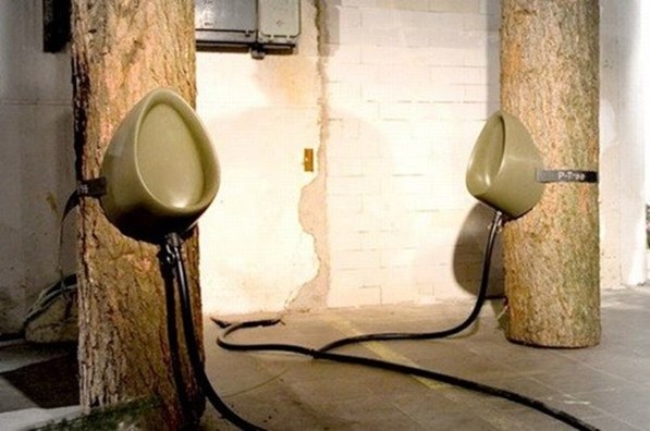  Image rigolote  toilettes publiques 
              