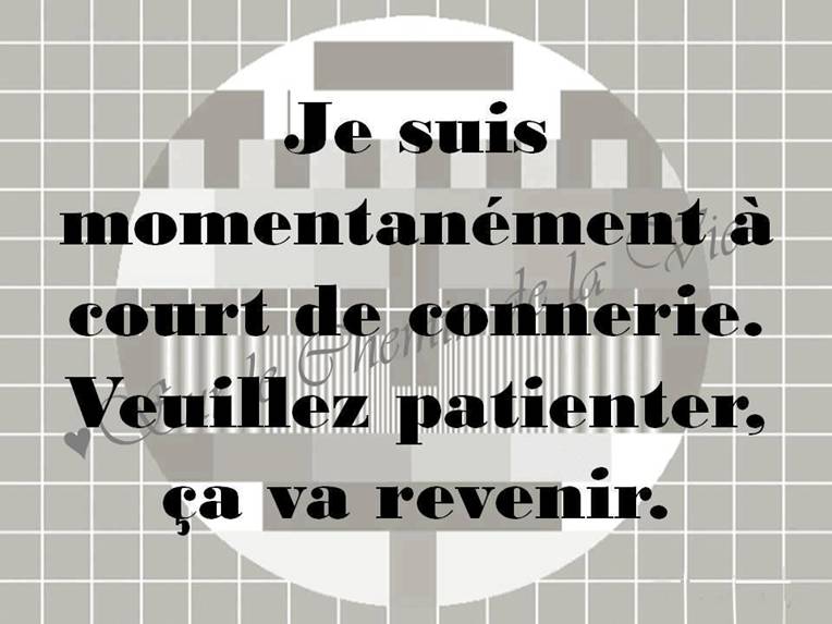 
               Meilleures images droles  ......., ................,.; ... !! 
              