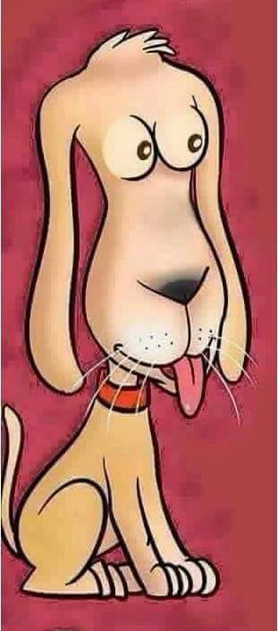 
               Meilleures image drole  CHIEN DE RACE QUI A DE LA CUISSE 
              
