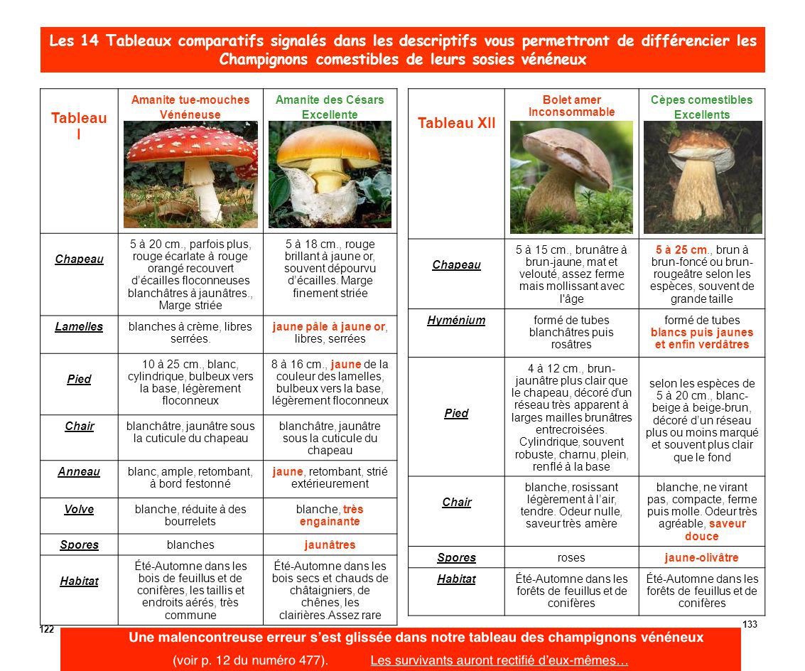 
               Meilleures images droles  ERRATUM 
              