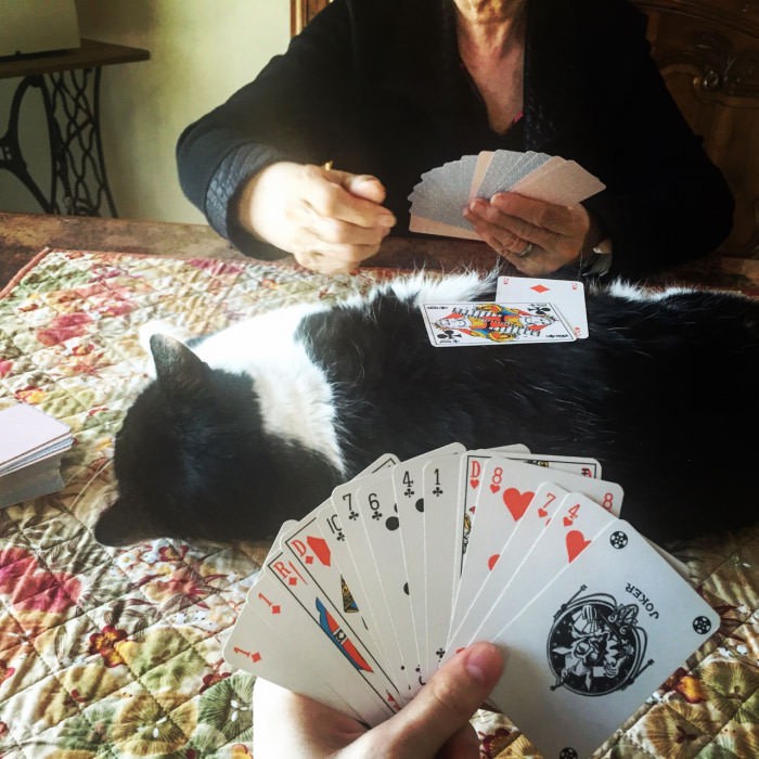 
               Meilleures images droles  Le chat de ma grand-mère est si paresseux ... 
              