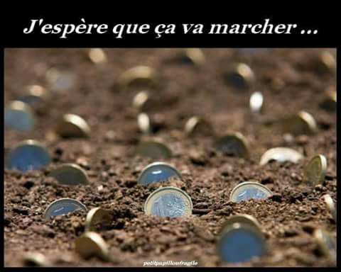 
               Meilleure image drole  mes plantations sont terminées 
              