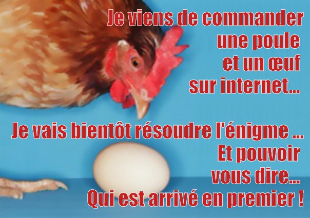 
               Meilleure photo blague  Réponse bientôt délivrée ! 
              