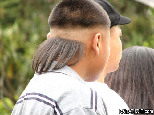 
               Meilleures image drole  coupe queue de cheval 
              