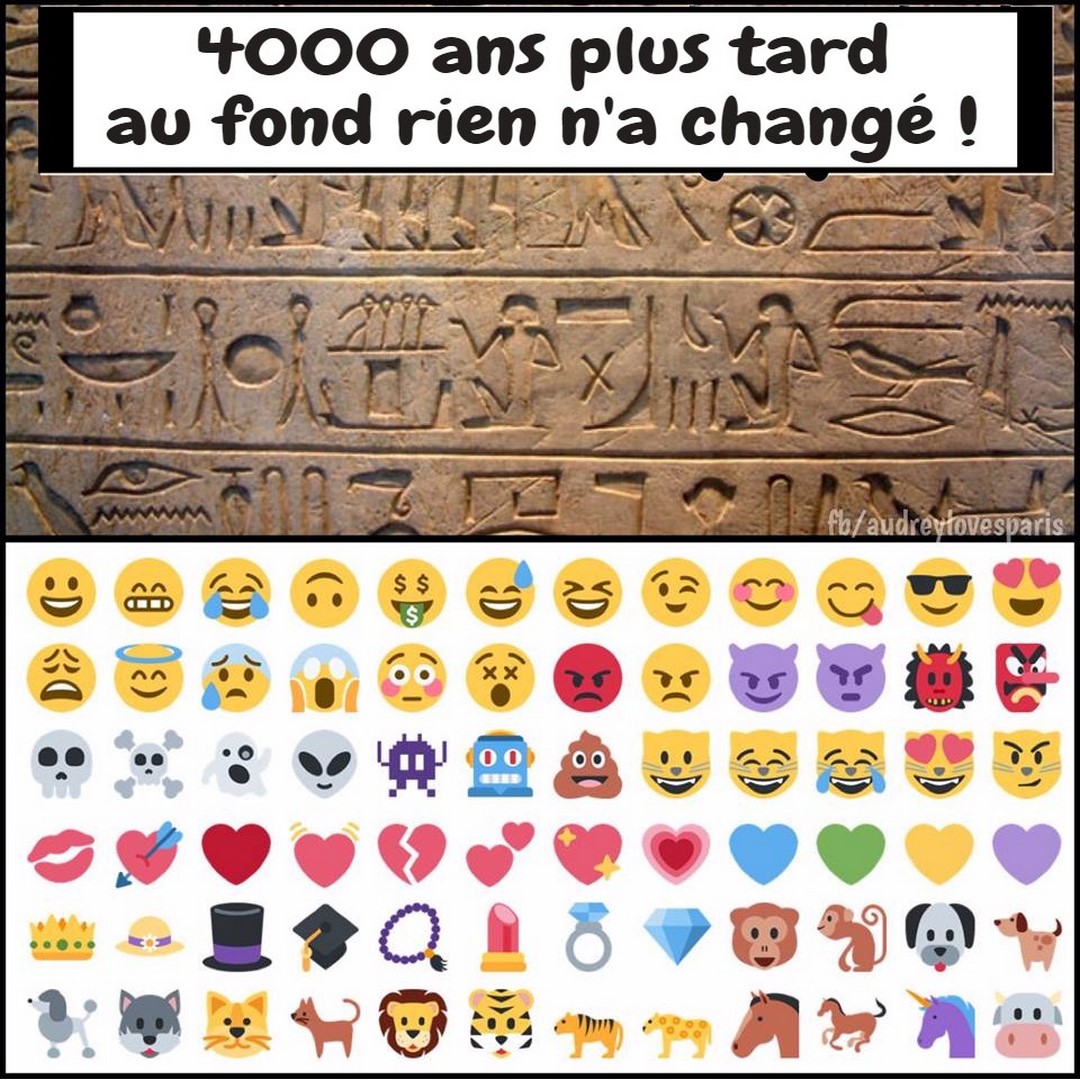 
               Meilleure photo blague  retour au basique instinct 
              
