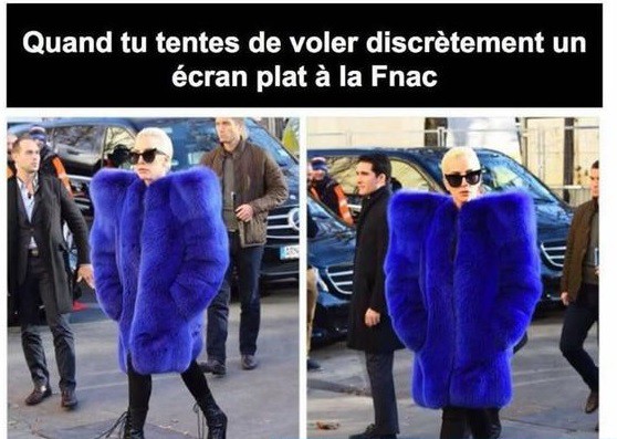 
               Meilleures image drole  Voleuse ! 
              