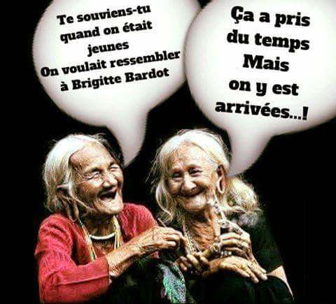 Image rigolote la persévérance paie , photo blague