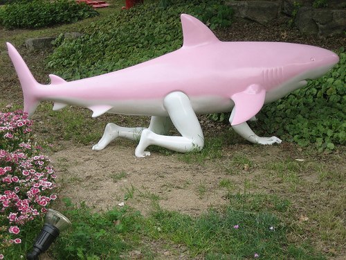  Image curieuse  requin de carnaval 
              