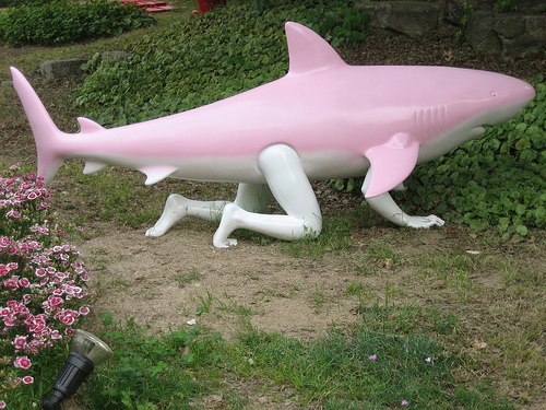 
               Meilleures image drole  requin de carnaval 
              