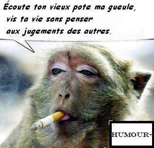 
               Meilleures image drole  c'est exactement le fond de ma pensée 
              