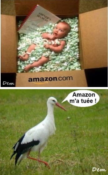 
               Meilleures image drole  dur dur d'arriver à bon port 
              