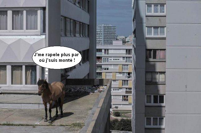 
               Meilleure image drole  Jeu de piste ? 
              