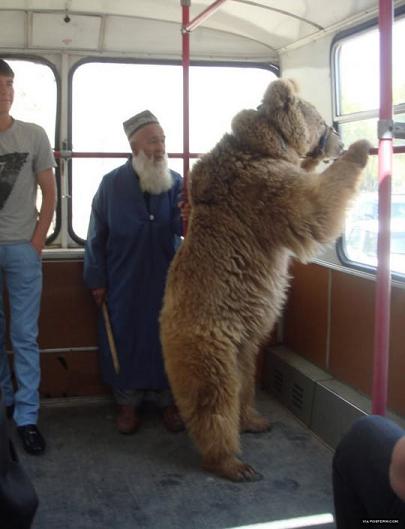 
               Meilleures images droles  Transport commun en Russie 
              