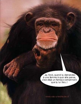 
               Meilleures image drole  C'était la pensée du jour! 
              