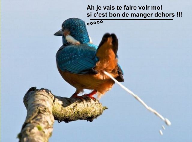
               Meilleures image drole  Tiens prends ça ! 
              