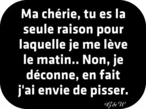 
               Meilleures images drôles  allez debout 
              