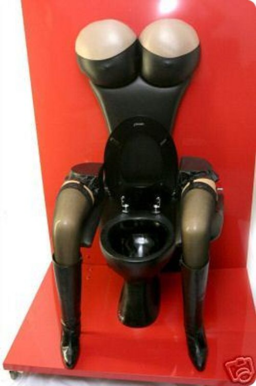 
               Meilleures image drole  Toilettes de luxe 
              