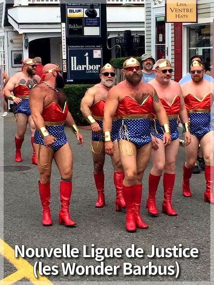 
               Meilleures image drole  Wonder-barbus 
              