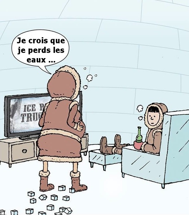 
               Meilleures image drole  la vie polaire 
              