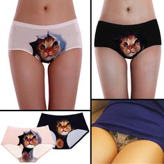 
               Meilleures image drole  attention il aime les croquettes 
              