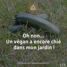 
               Meilleures image drole  BEURK 
              