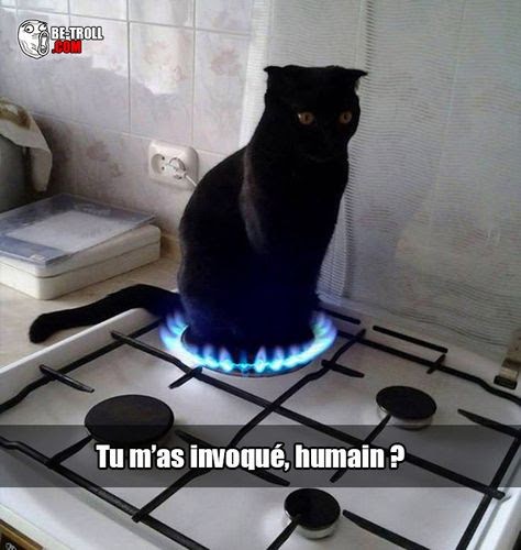 
               Meilleures images droles  pourtant son Q 
              