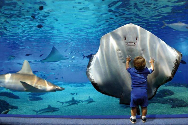 
               Meilleures images droles   Sois le bienvenu petit Terrien  
              