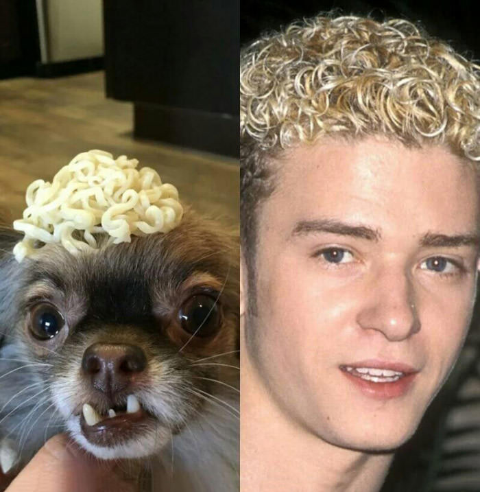 
               Meilleures image drole  Saurez vous trouver les 7 différences ? 
              