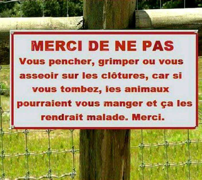 
               Meilleures images droles  maintenant tu sais. 
              