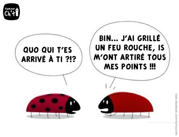 
               Meilleures images droles  faudra faire une séance de ratrappage 
              