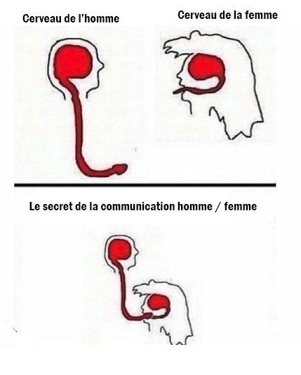  Image amusante  Tout s'explique ! , photo blague
              