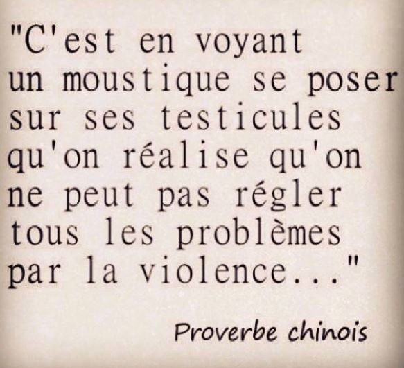 
               Meilleures images droles  la violence et la haine n'amène rien de bon 
              