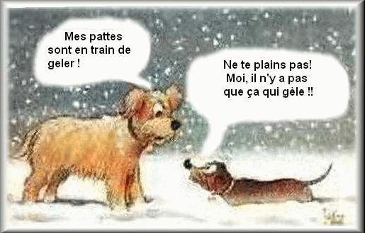 
               Meilleures image drole  période de froid 
              