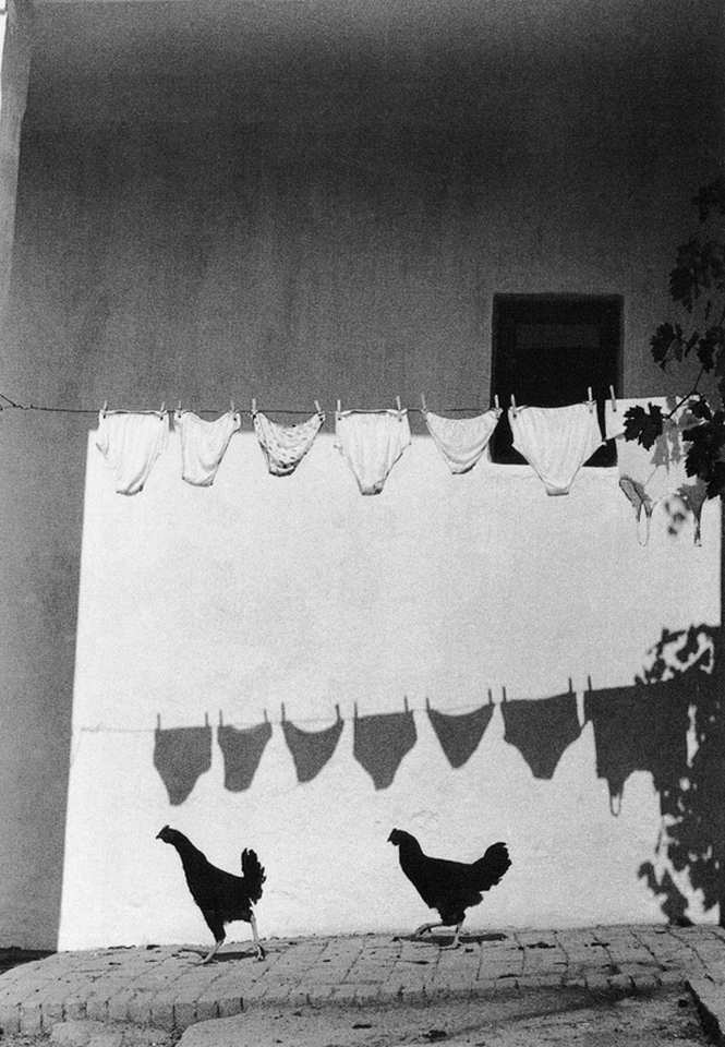 
               Meilleures images droles  ombres chinoises 
              