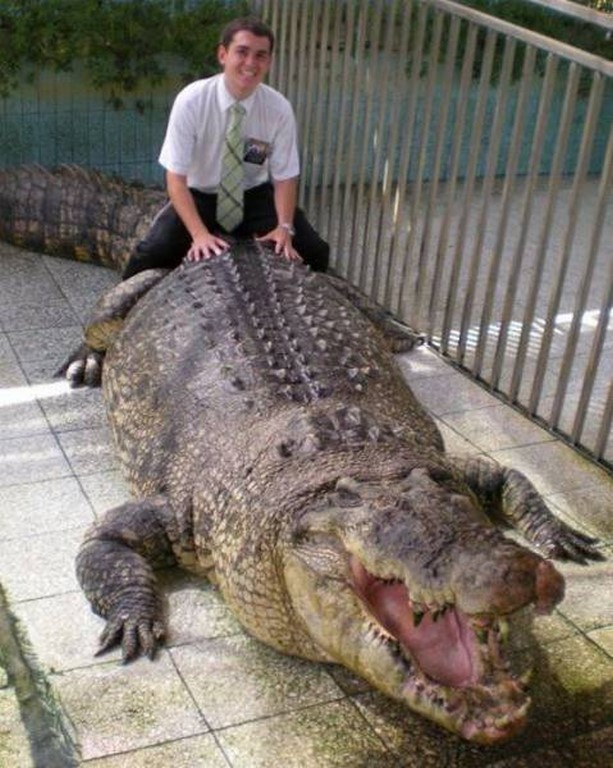 
               Meilleures images droles  Animal de compagnie ? 
              