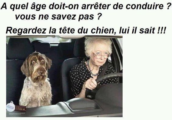
               Meilleures image drole  approuvé ? 
              