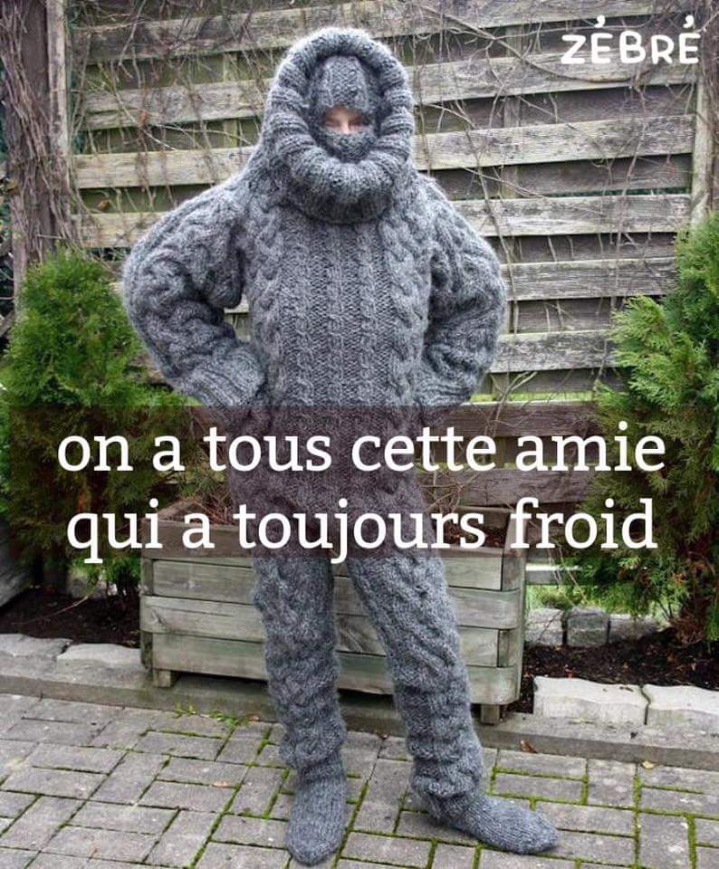 
               Meilleures images drôles  Protégez-vous ca caille disait la poule 
              