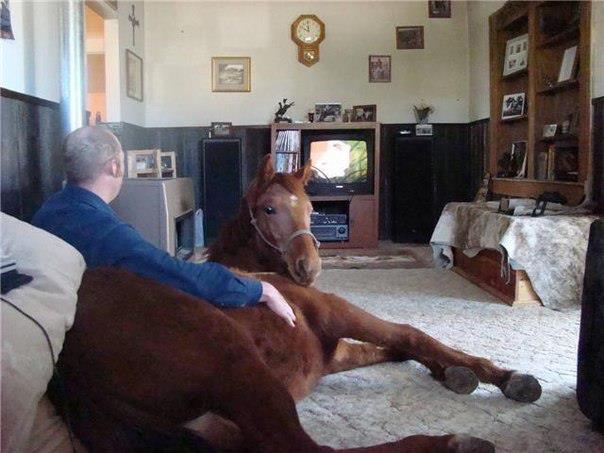 
               Meilleure image drole  ce soir finale !on est pas bien comme ça 
              