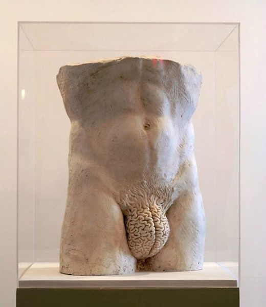 
               Meilleures images droles  L'homme et son cerveau. 
              