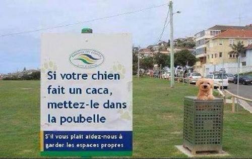 
               Meilleures images drôles  Y'en a qu'on rien compris ! 
              