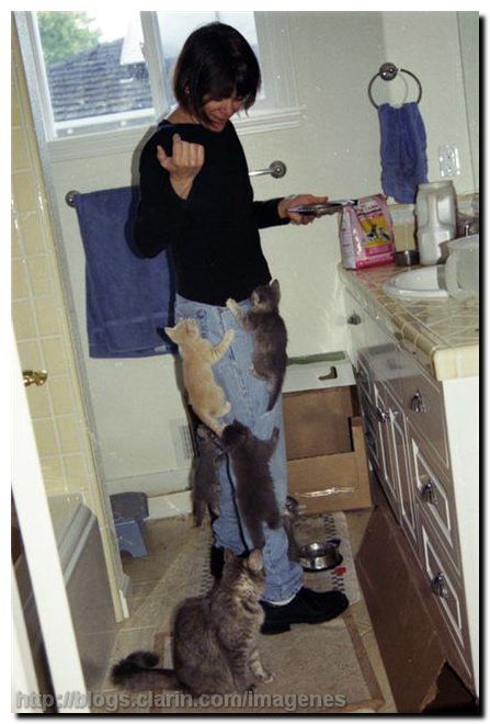 
               Meilleure photo blague  la petite bête 
              