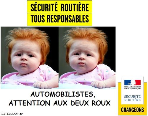 
               Meilleures images droles  sans permis 
              